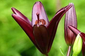 ddos流量攻击购买