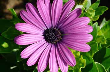 免费DDOS攻击测试工具