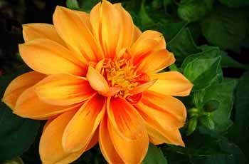 干净无垃圾的ip攻击器网页版ddos