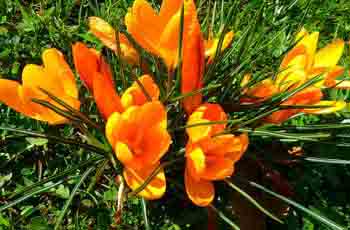 在线DDOS压力测试网页端