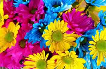 免费DDOS攻击测试工具