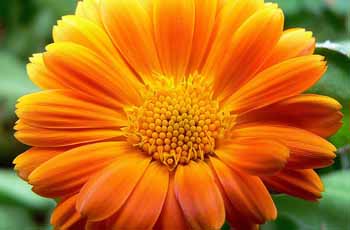 ddos流量攻击购买